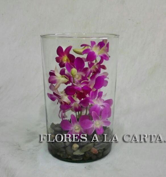 Arreglo de Orquideas ac 20