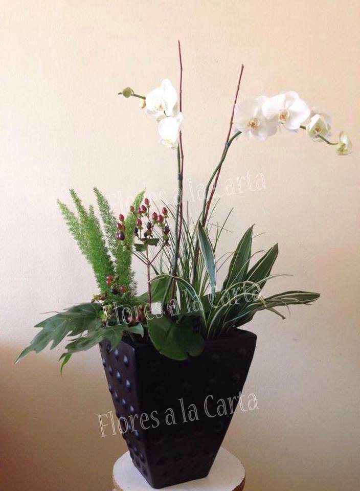 Arreglo de Orquideas AC 05