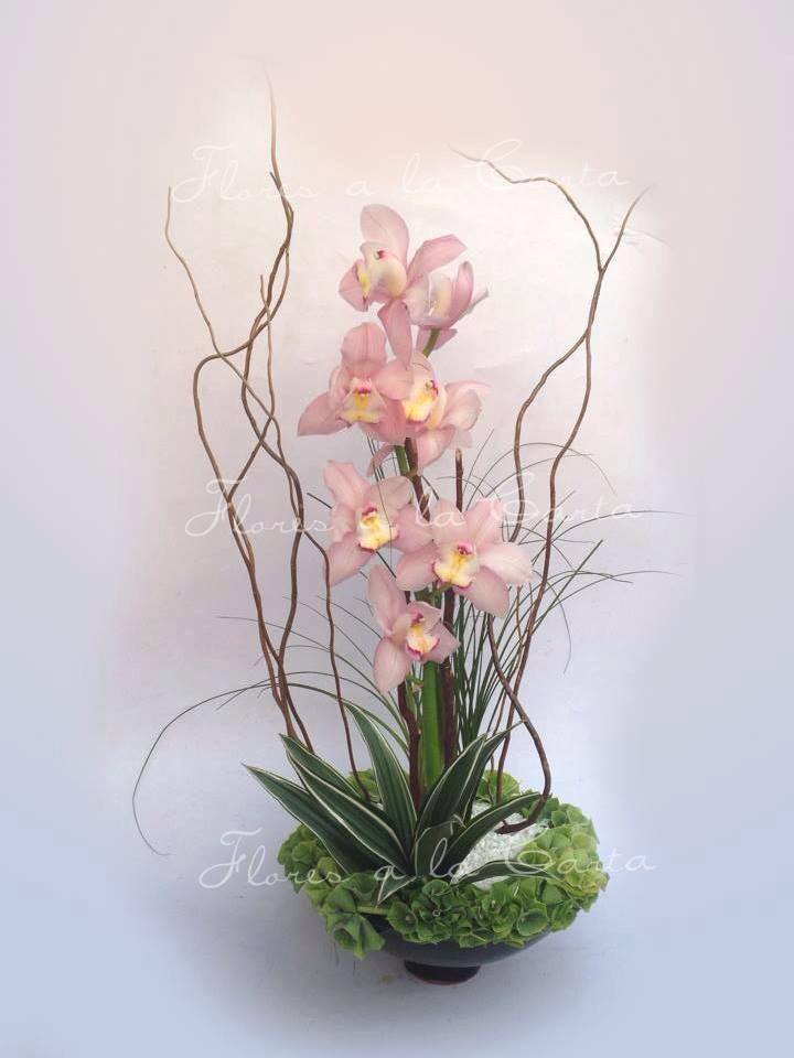 Orquidea VIP AC 03