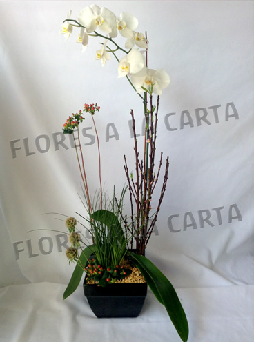 Arreglo de Orquideas AC 03